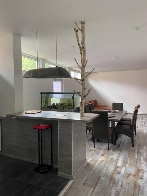 Apartamento Bronzetaler Bad Harzburg Exterior foto